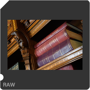 Камера Nikon D5 с объективом AF-S Zoom-Nikkor 24-85mm f/3.5-4.5G IF-ED. Примеры RAW файлов