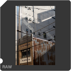 RAW sample