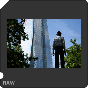 Камера Nikon D3400 с объективом AF-P DX Nikkor 18-55mm f/3.5-5.6G. Примеры RAW файлов