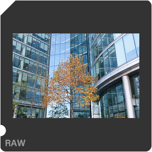 Камера Nikon D3500 с объективом AF-P DX Nikkor 18-55mm F/3.5-5.6G VR. Примеры RAW файлов