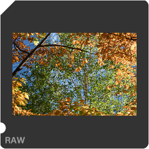 Камера Nikon D3500 с объективом AF-P DX Nikkor 18-55mm F/3.5-5.6G VR. Примеры RAW файлов