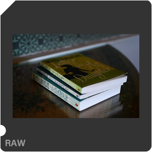 Камера Nikon Z 6 с объективом Nikkor Z 24-70mm f/4 S. Примеры RAW файлов