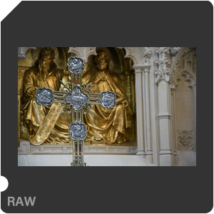 Камера Nikon D500 с объективом AF-S DX Nikkor 16-80mm f/2.8-4E ED VR. Примеры RAW файлов