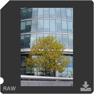 Камера Nikon 1 J1 с объективом 1 Nikkor VR 10-30mm f/3.5-5.6. Примеры RAW файлов