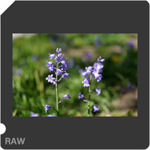 RAW sample