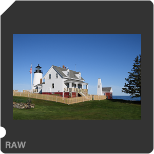 Камера Nikon D5 с объективом AF-S Nikkor 24-70mm f/2.8E ED VR. Примеры RAW файлов