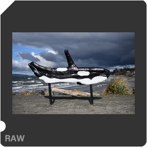 Nikon Z 9 Camera with Nikon Z 9 + Nikkor Z 50mm f/1.2 S. Examples of RAW files