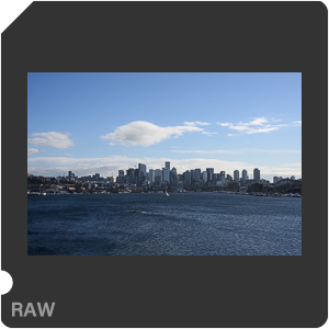 Nikon Z 9 Camera with Nikon Z 9 + Nikkor Z 50mm f/1.2 S. Examples of RAW files