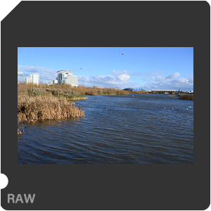 Камера Nikon Z 6 с объективом Nikkor Z 24-70mm f/4 S. Примеры RAW файлов