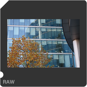 Камера Nikon D3500 с объективом AF-P DX Nikkor 18-55mm F/3.5-5.6G VR. Примеры RAW файлов