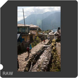 RAW sample