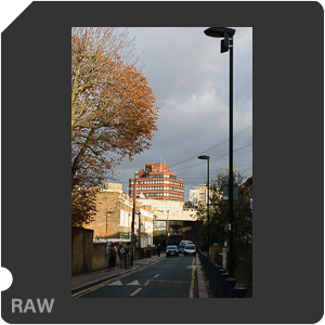 Камера Nikon D5300 с объективом AF-S DX Nikkor 18-55mm f/3.5-5.6G VR. Примеры RAW файлов