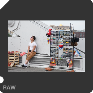 Камера Nikon D500 с объективом AF-S DX Nikkor 16-80mm f/2.8-4E ED VR. Примеры RAW файлов