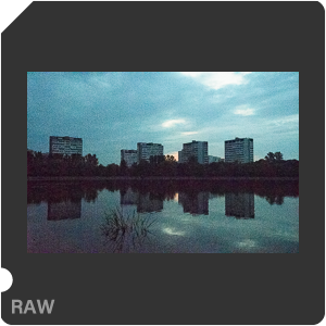 Камера Nikon D500 с объективом AF-S DX Nikkor 16-80mm f/2.8-4E ED VR. Примеры RAW файлов