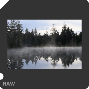 Камера Nikon Z 7 с объективом Nikkor Z 24-120mm f/4 S. Примеры RAW файлов