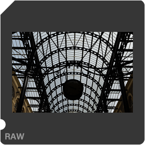 RAW sample
