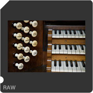 Камера Nikon D500 с объективом AF-S DX Nikkor 16-80mm f/2.8-4E ED VR. Примеры RAW файлов