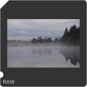 Камера Nikon Z 7 с объективом Nikkor Z 24-120mm f/4 S. Примеры RAW файлов