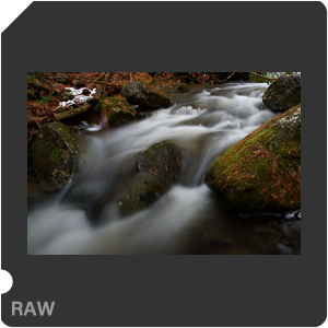 Камера Nikon D750 с объективом AF-S Nikkor 24-70mm f/2.8G ED. Примеры RAW файлов