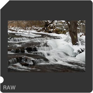 Nikon D3500 + AF-P DX Nikkor 18-55mm F/3.5-5.6G VR page2. Примеры RAW файлов