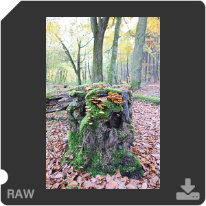 Камера Nikon D700 с объективом AF-S Zoom-Nikkor 28-70mm f/2.8D IF-ED. Примеры RAW файлов