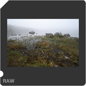 Nikon D5 Camera with AF-S Nikkor 14-24mm f/2.8G ED. Examples of RAW files