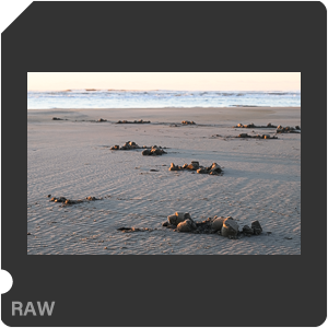 Камера Nikon Z 9 с объективом Nikkor Z 70-200mm f/2.8 VR S. Примеры RAW файлов