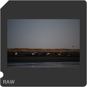 Камера Nikon Z 9 с объективом Nikkor Z 70-200mm f/2.8 VR S. Примеры RAW файлов