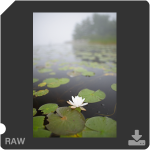 Камера Nikon D с объективом AF-S Nikkor 28 mm f/1.4E ED. Примеры RAW файлов