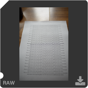 Камера Nikon D с объективом AF-S Nikkor 28 mm f/1.4E ED. Примеры RAW файлов