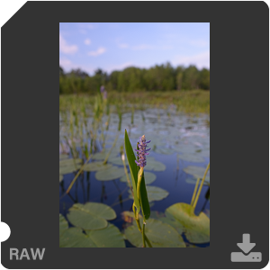 Камера Nikon D с объективом AF-S Nikkor 28 mm f/1.4E ED. Примеры RAW файлов