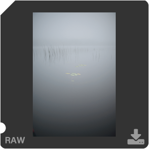 Камера Nikon D с объективом AF-S Nikkor 28 mm f/1.4E ED. Примеры RAW файлов