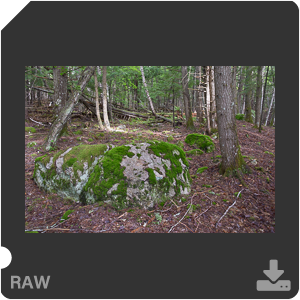 Камера Nikon D с объективом AF-S Nikkor 28 mm f/1.4E ED. Примеры RAW файлов