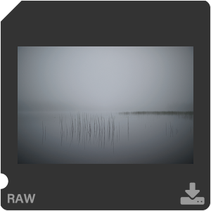 Камера Nikon D с объективом AF-S Nikkor 28 mm f/1.4E ED. Примеры RAW файлов