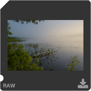 Камера Nikon D с объективом AF-S Nikkor 28 mm f/1.4E ED. Примеры RAW файлов