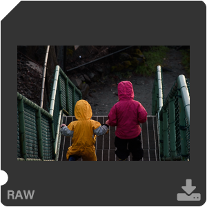 Nikon D5600 с объективом AF-P DX Nikkor 70-300mm f/4.5-6.3G ED VR. Примеры RAW файлов