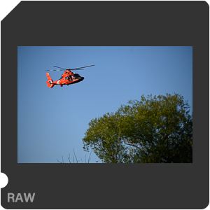 Nikon Z 7 Camera with AF-S Nikkor 120-300mm f/2.8E FL ED SR VR. Examples of RAW files