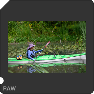 Nikon Z 7 Camera with AF-S Nikkor 120-300mm f/2.8E FL ED SR VR. Examples of RAW files