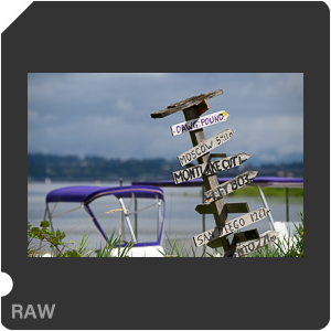 Nikon Z 7 Camera with AF-S Nikkor 120-300mm f/2.8E FL ED SR VR. Examples of RAW files