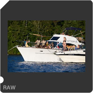 Nikon Z 7 Camera with AF-S Nikkor 120-300mm f/2.8E FL ED SR VR. Examples of RAW files