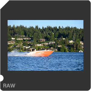 Nikon Z 7 Camera with AF-S Nikkor 120-300mm f/2.8E FL ED SR VR. Examples of RAW files