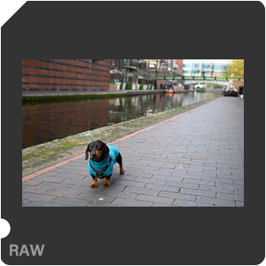 Камера Nikon Z 6 с объективом Nikkor Z 24-70mm f/4 S. Примеры RAW файлов