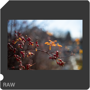 RAW sample