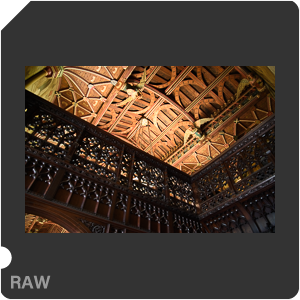 Камера Nikon D5 с объективом AF-S Zoom-Nikkor 24-85mm f/3.5-4.5G IF-ED. Примеры RAW файлов