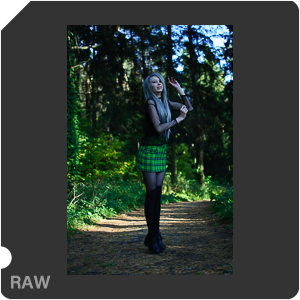 Nikon D90 Camera with AF-S DX Nikkor 35mm f/1.8G. Examples of RAW files