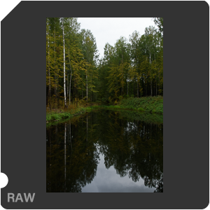 Камера Nikon D5600 с объективом AF Zoom-Nikkor 28-105mm f/3.5-4.5D IF. Примеры RAW файлов