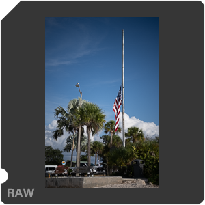 Nikon Z 8 + Nikkor Z 24-70mm f/2.8 S II. Examples of RAW files