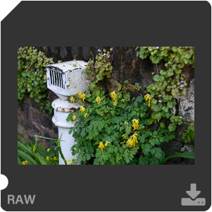 Nikon D800E с объективом AF-S Nikkor 24-70mm f2.8G ED. Примеры RAW файлов