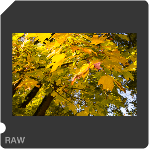 RAW sample