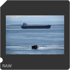 Камера Nikon D6 с объективом AF-S Nikkor 120-300mm f/2.8E FL ED SR VR. Примеры RAW файлов